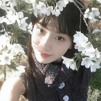 寒鸦情深
