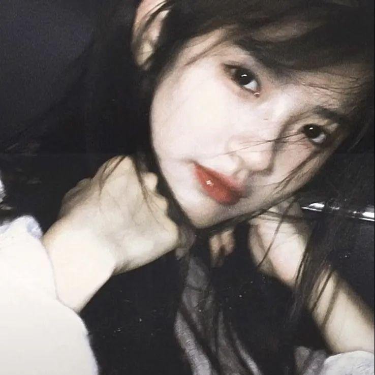 追梦小海豚